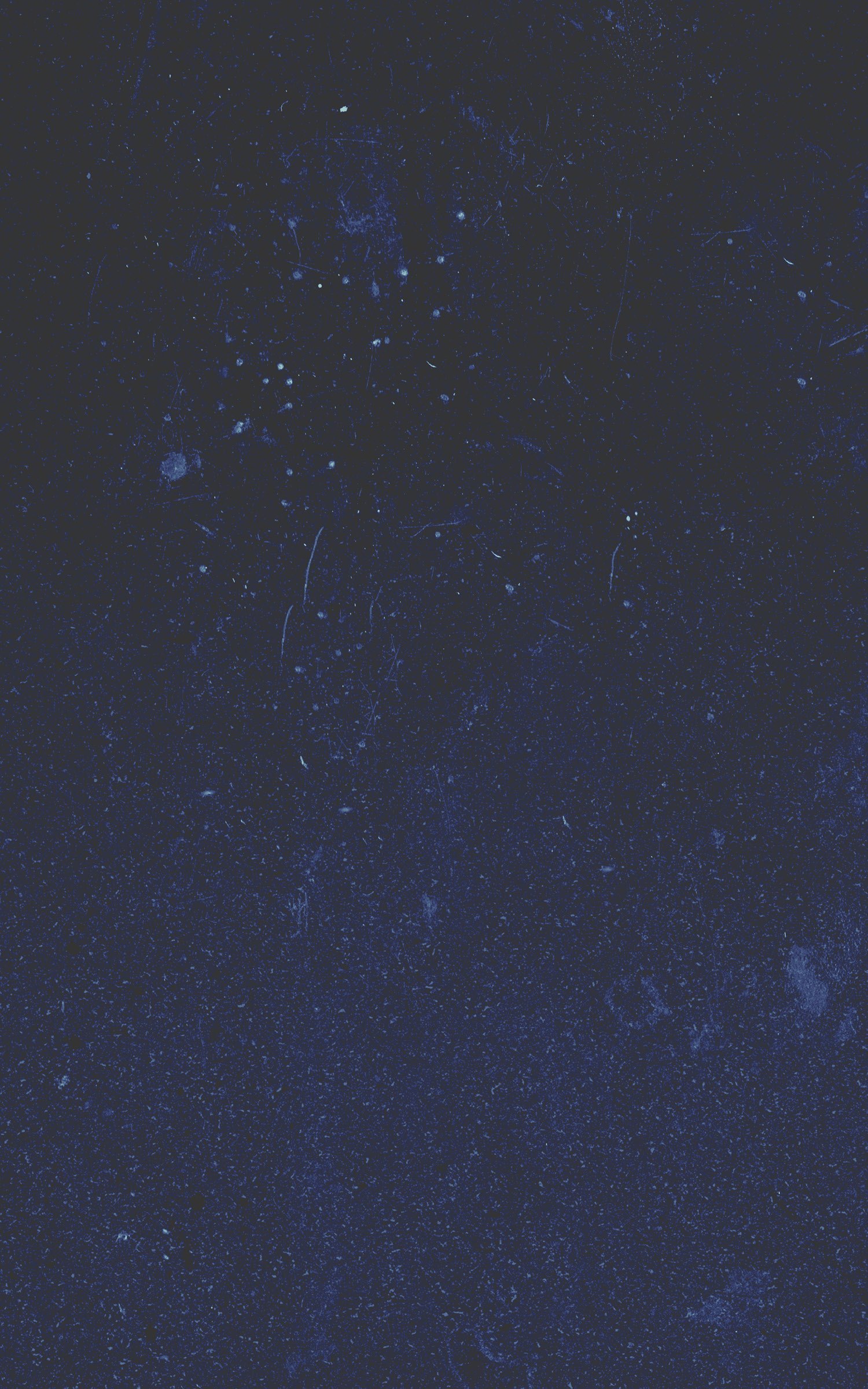 The booklet's back cover: an unprinted field of dark speckled navy, carrying only the flecks, scratches and dust used as the festival's texture throughout.